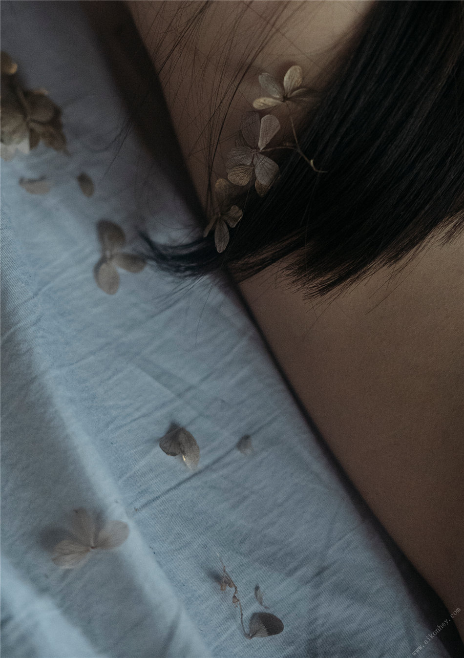 七泽米亚写真图集—とられち爱的约束